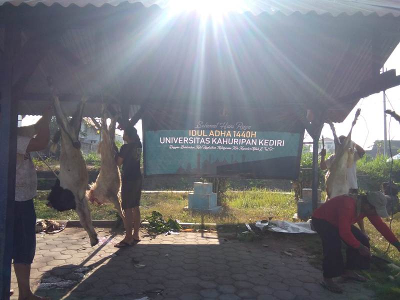 Idul Adha, Universitas, Kahuripan, ukklagi, kampung inggris, kampus kediri, penyembelihan hewan